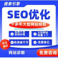 seo优化提高网站收录排名全行业首页关键词推广 大型网站实操经验